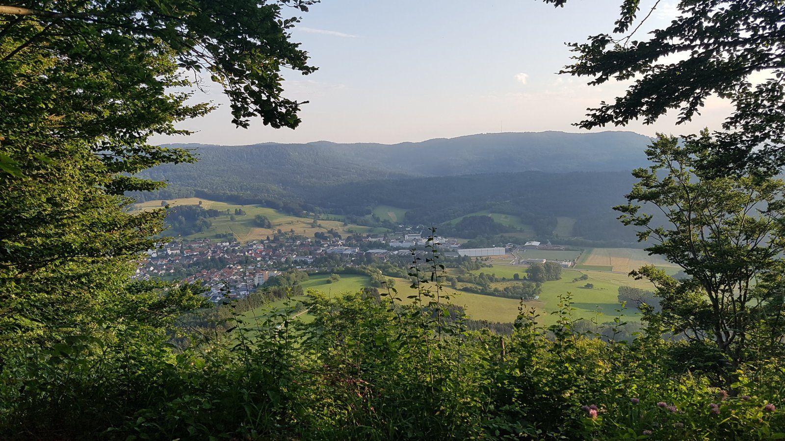 20220620_195659.jpg