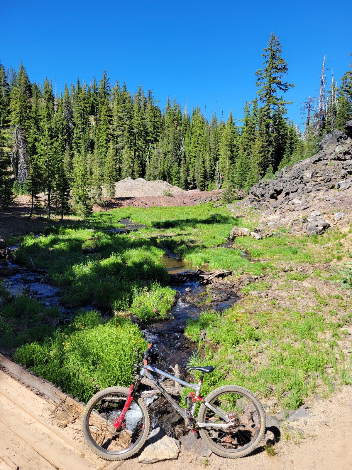 20220723_154240.jpg