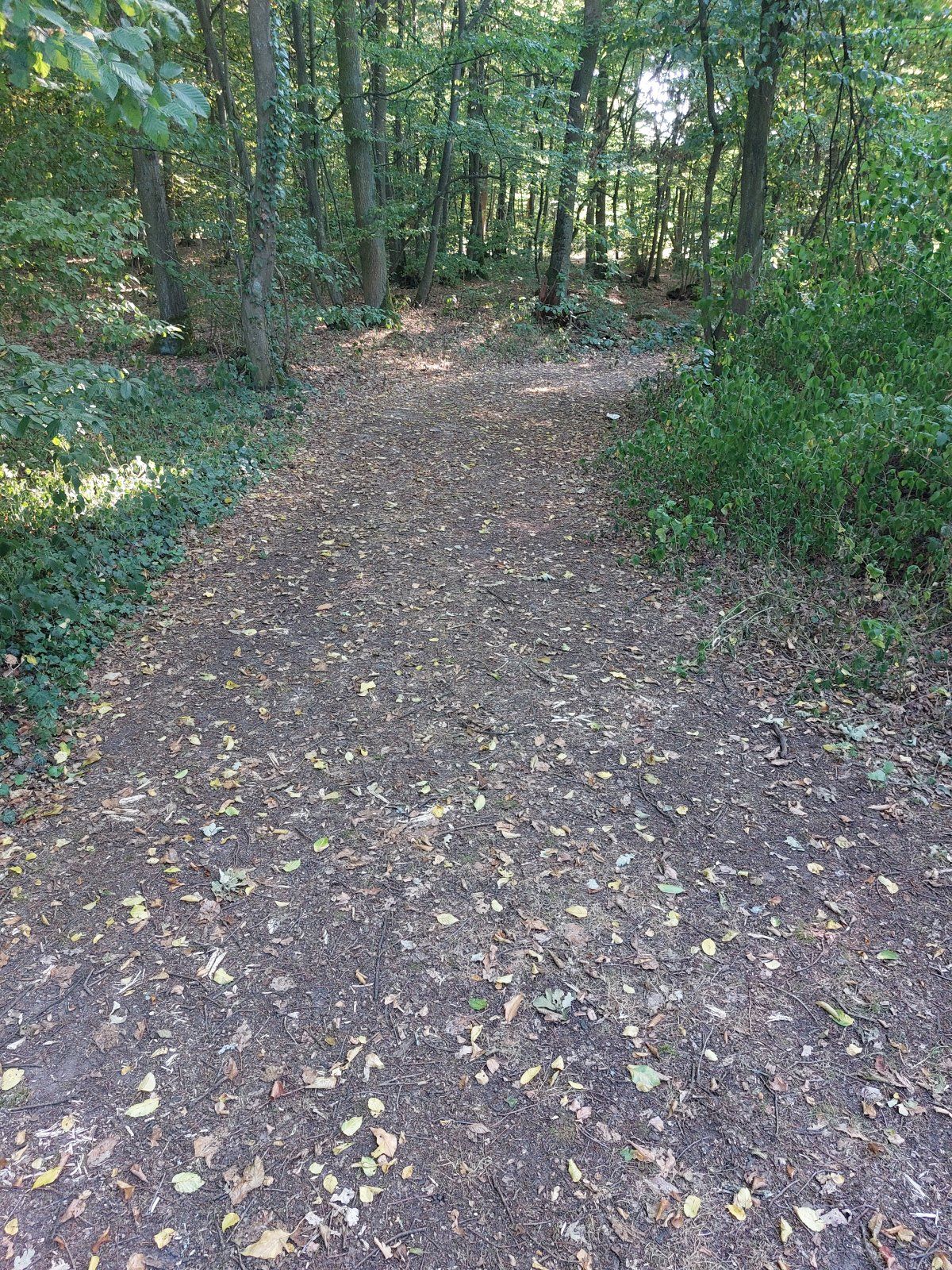 20220724_184015.jpg