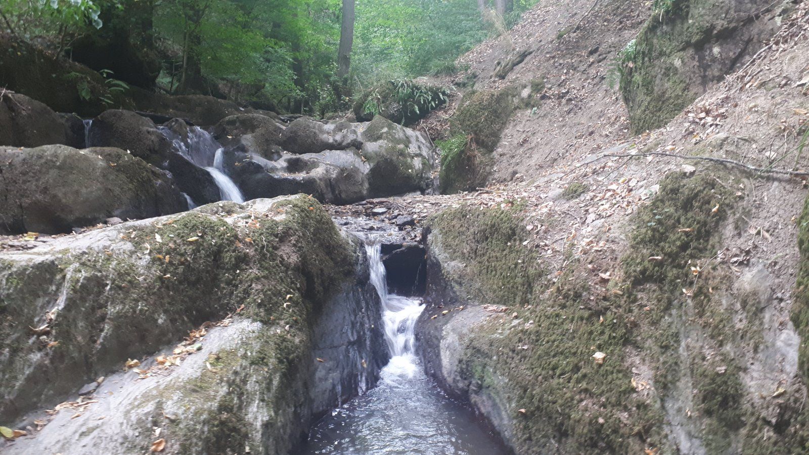 20220731_095401.jpg