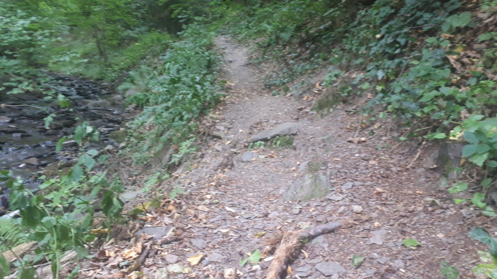 20220731_100305.jpg