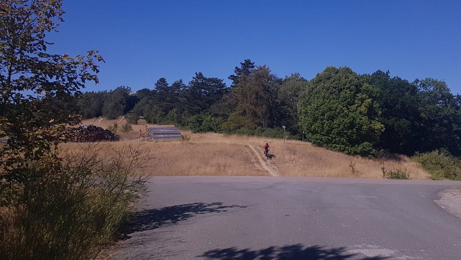 20220811_173811.jpg