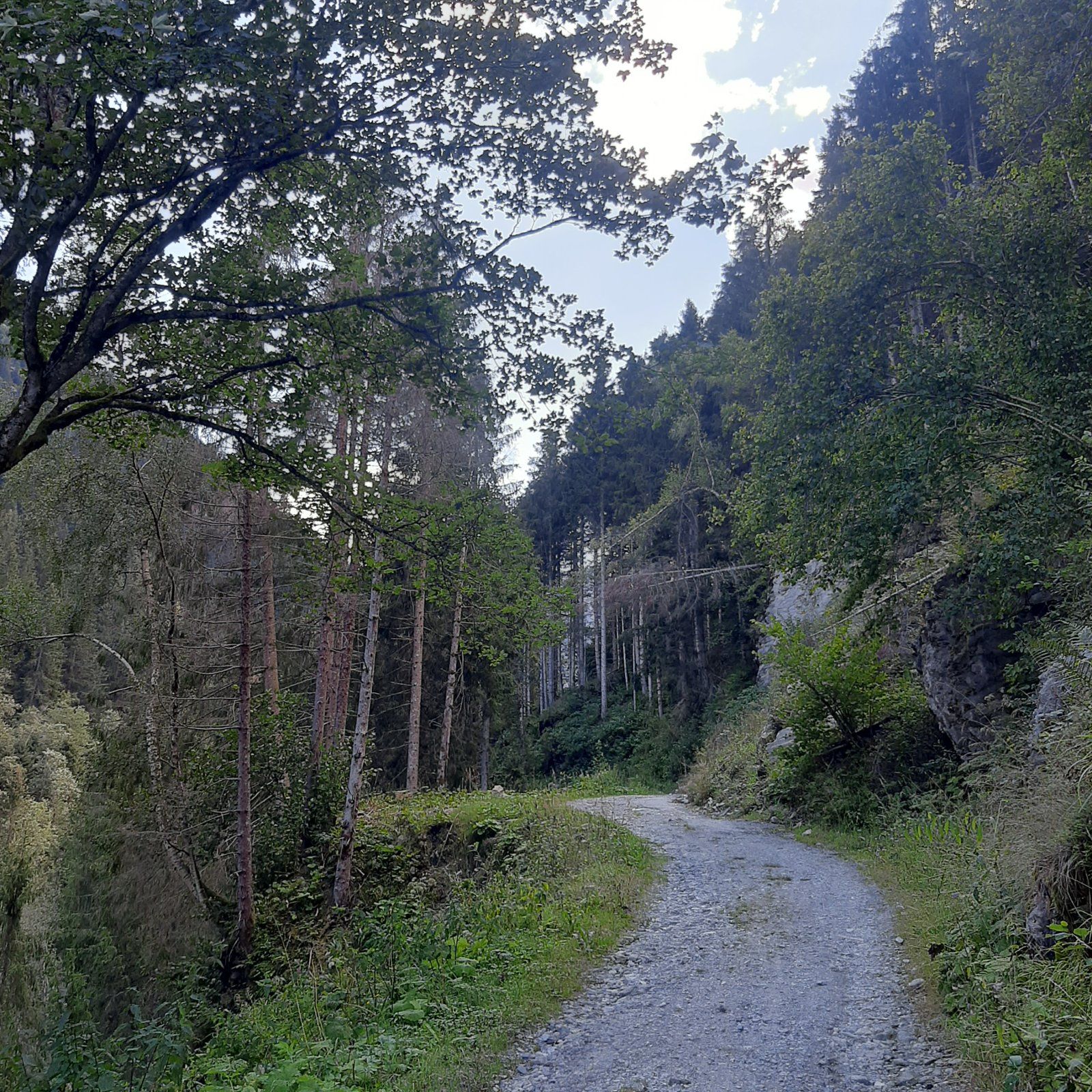 20220822_162249.jpg