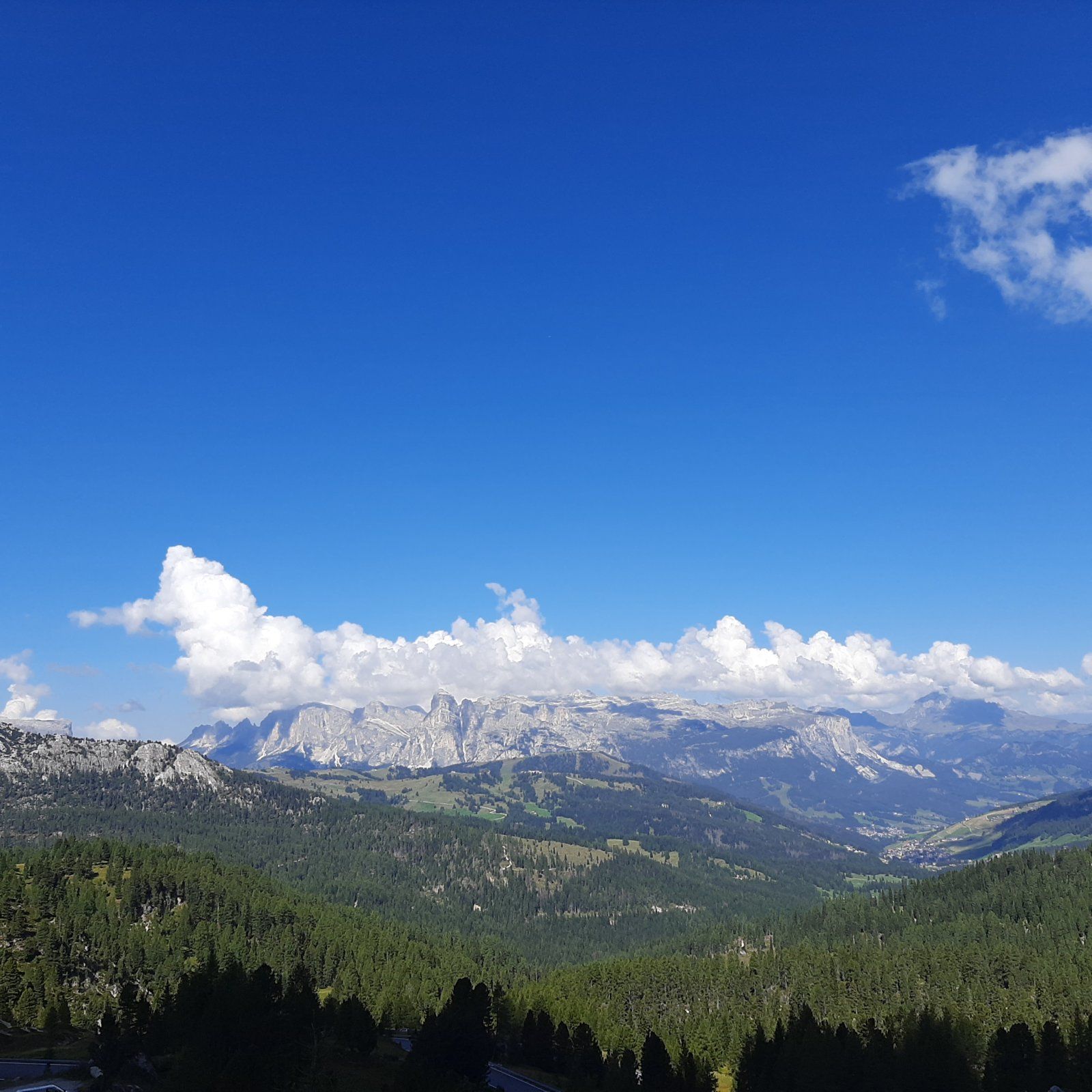 20220825_104803.jpg