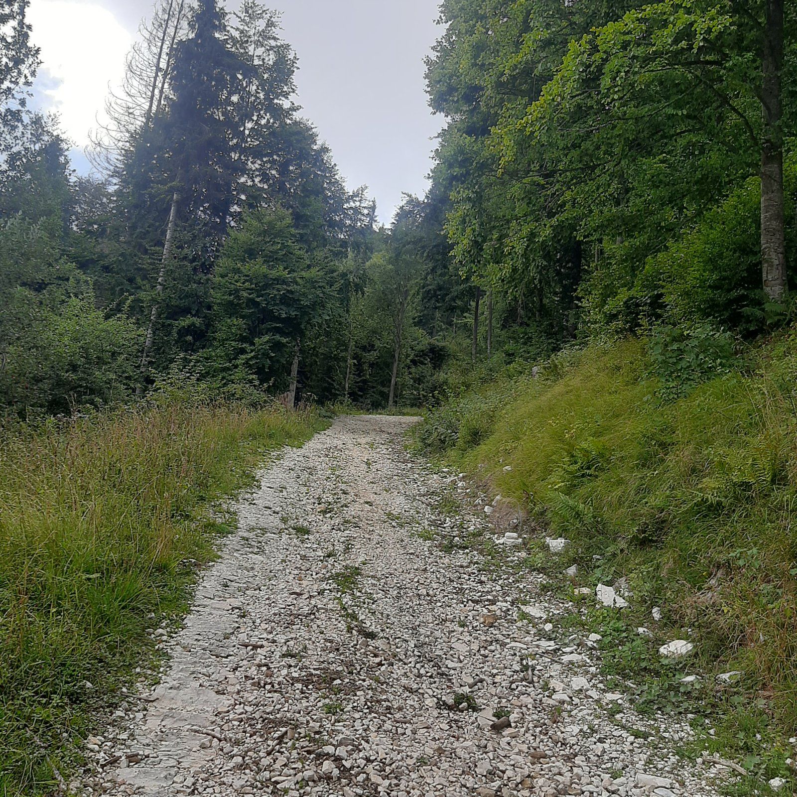 20220828_125404.jpg