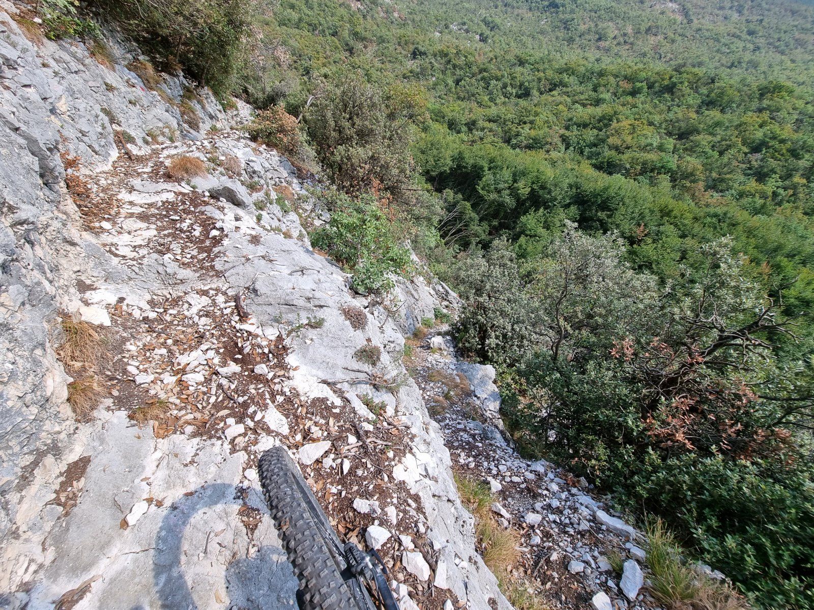 20220829_165359.jpg