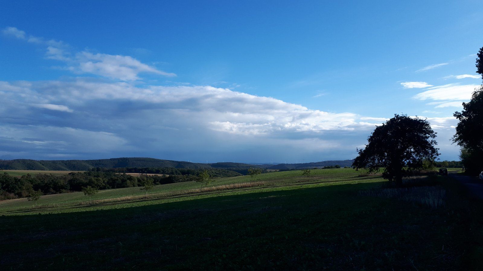 20220917_175226.jpg