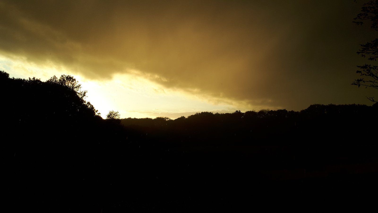 20220917_190953.jpg