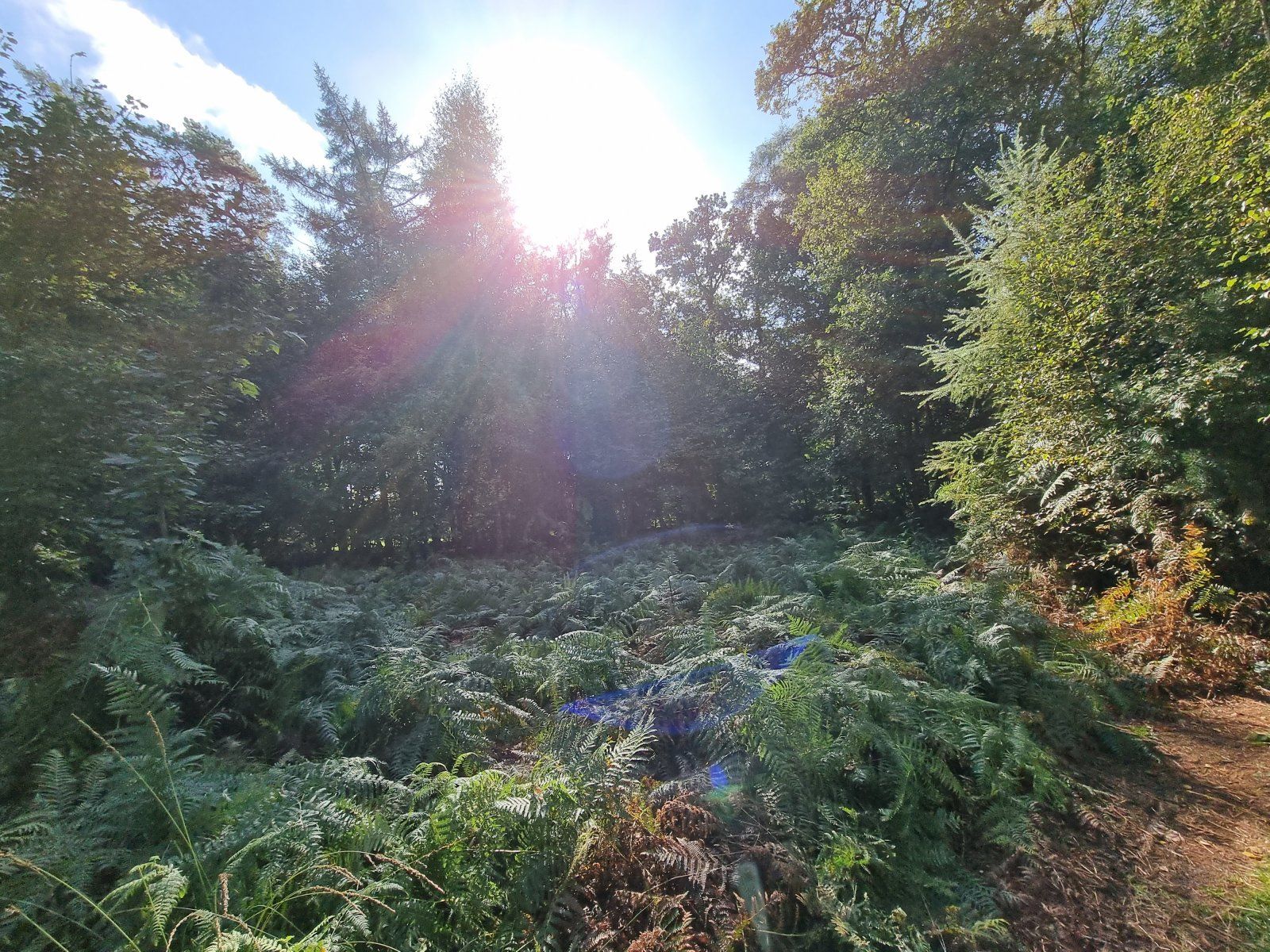 20221001_133321.jpg
