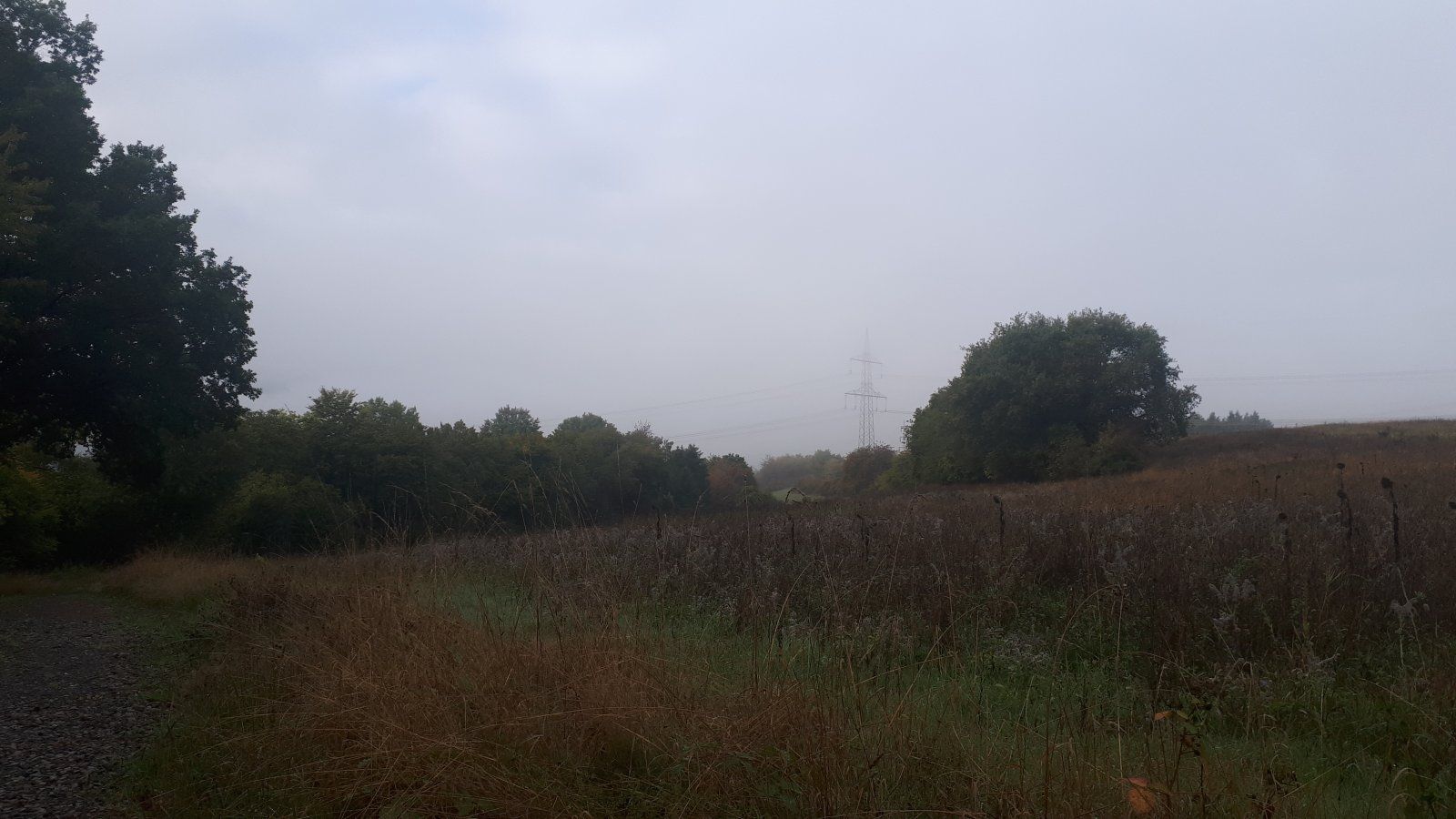20221003_093339.jpg