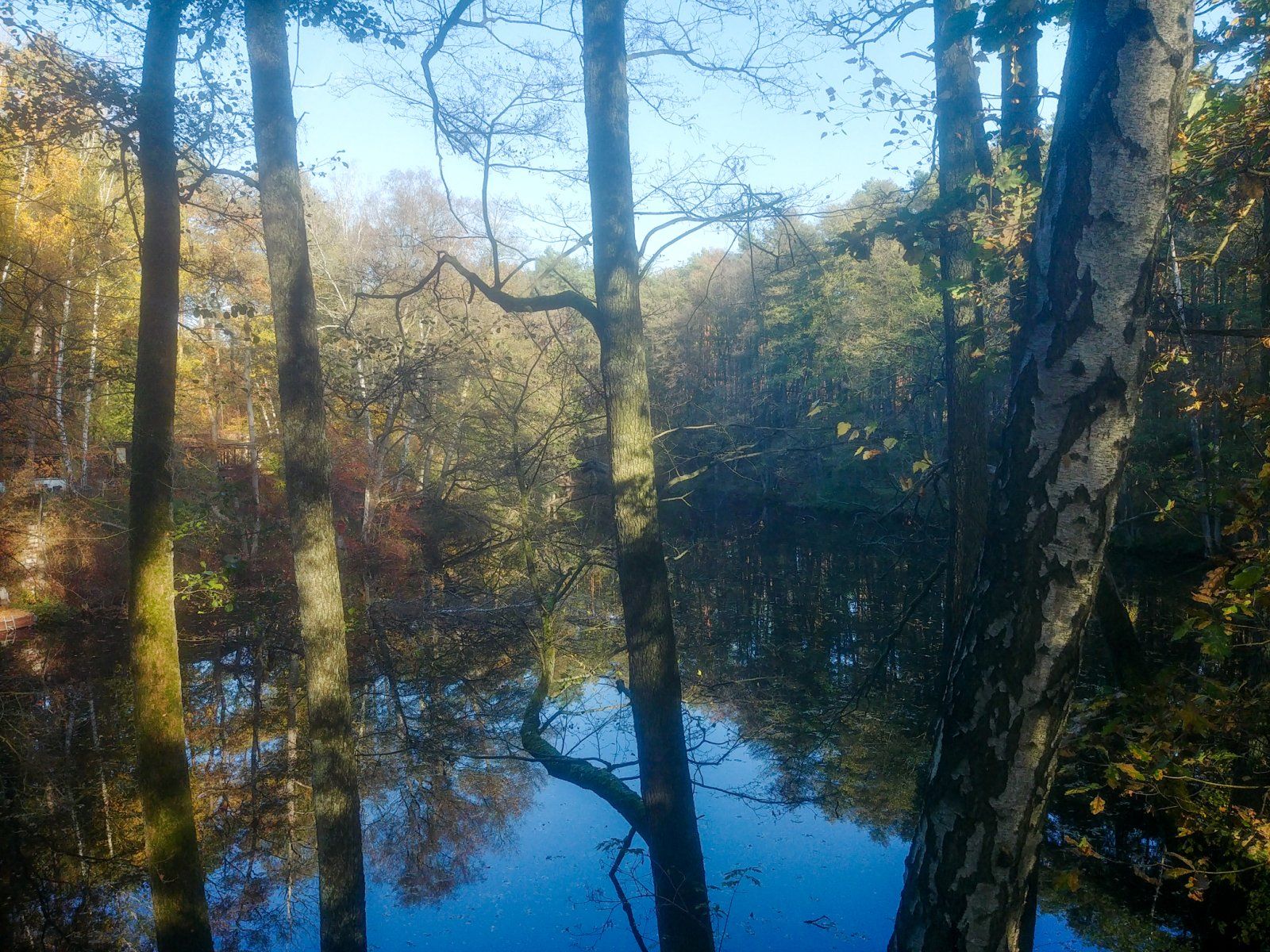 20221030_140205.jpg