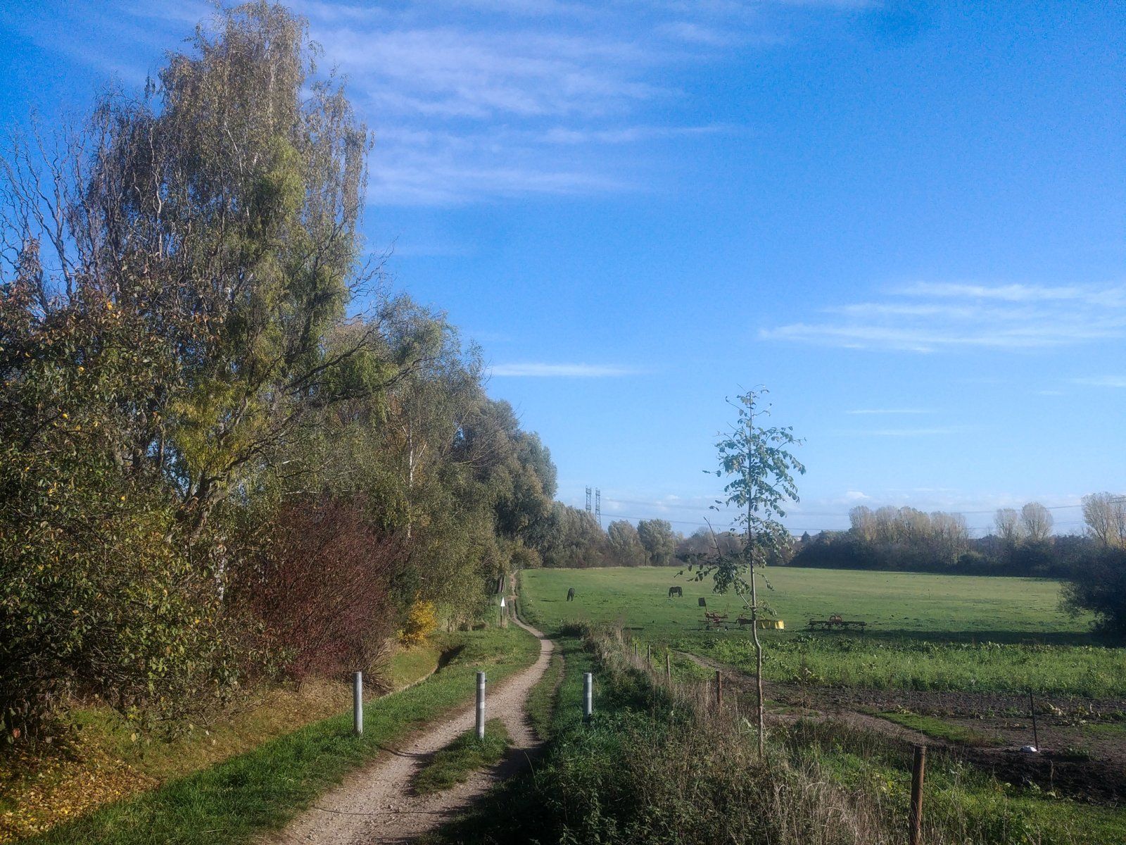 20221102_111128.jpg