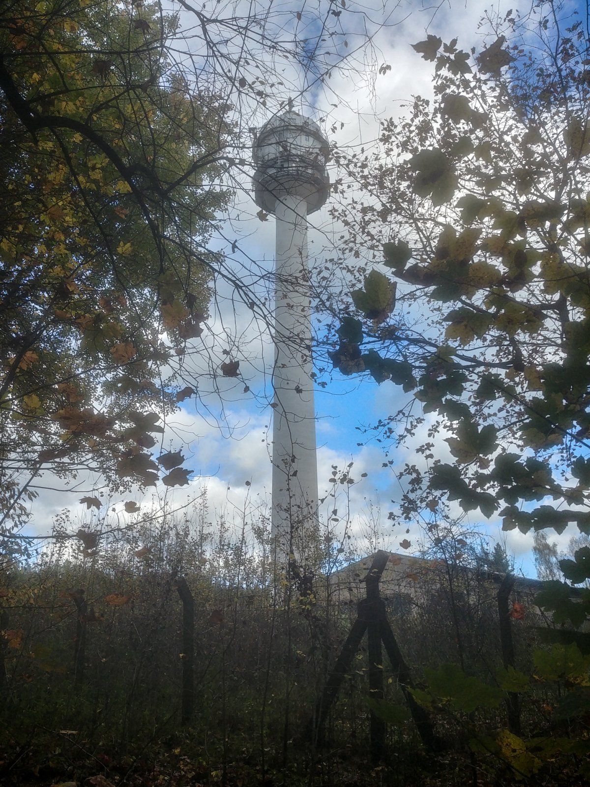 20221102_123120.jpg