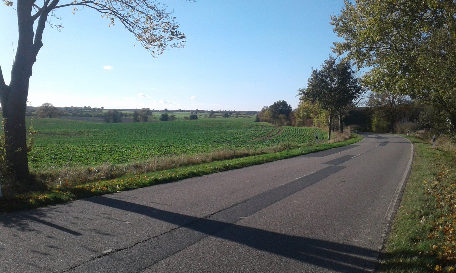 20221105_123638.jpg