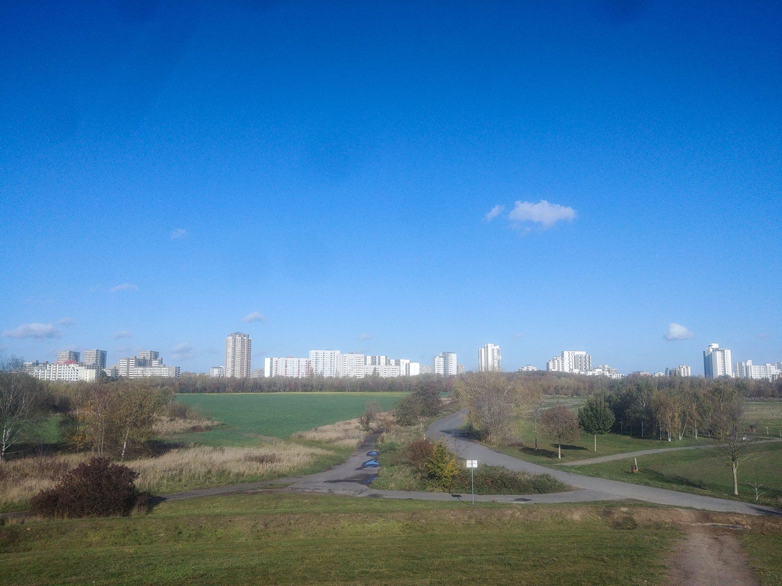 20221105_123752.jpg