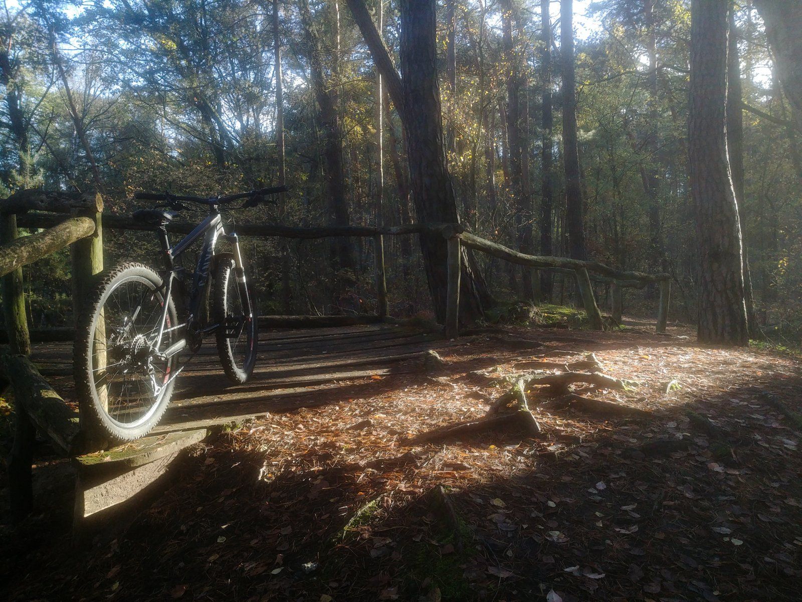 20221105_135923.jpg