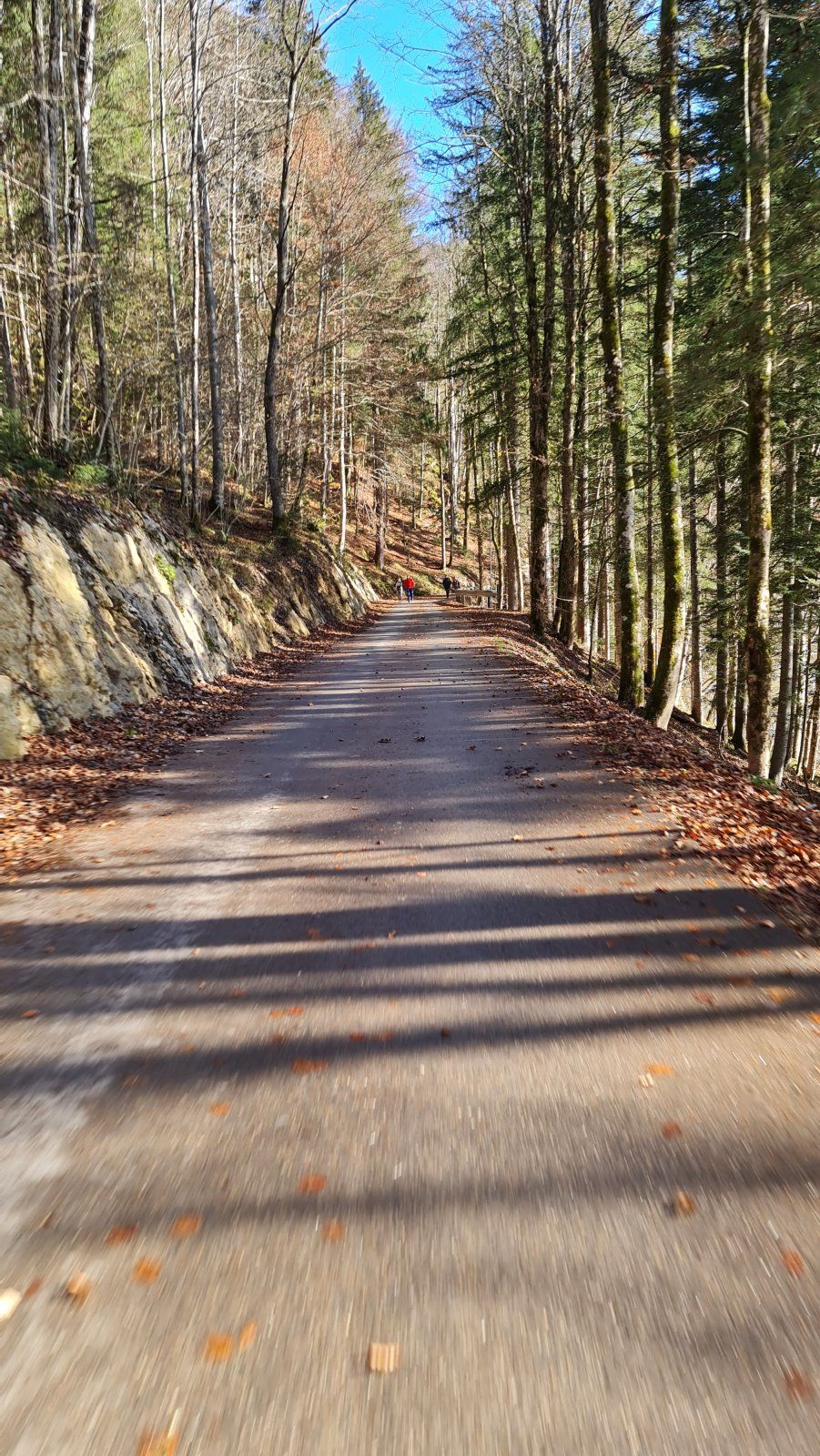 20221106_124453.jpg