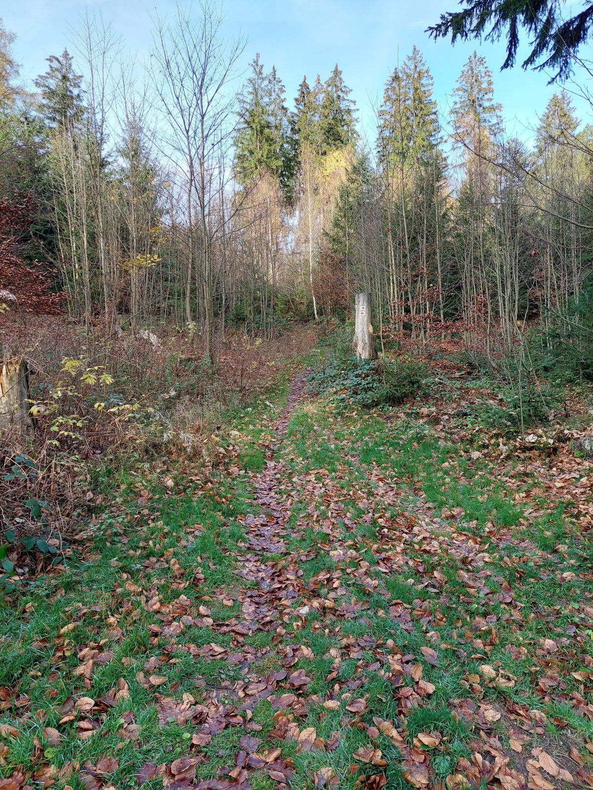 20221112_142733.jpg