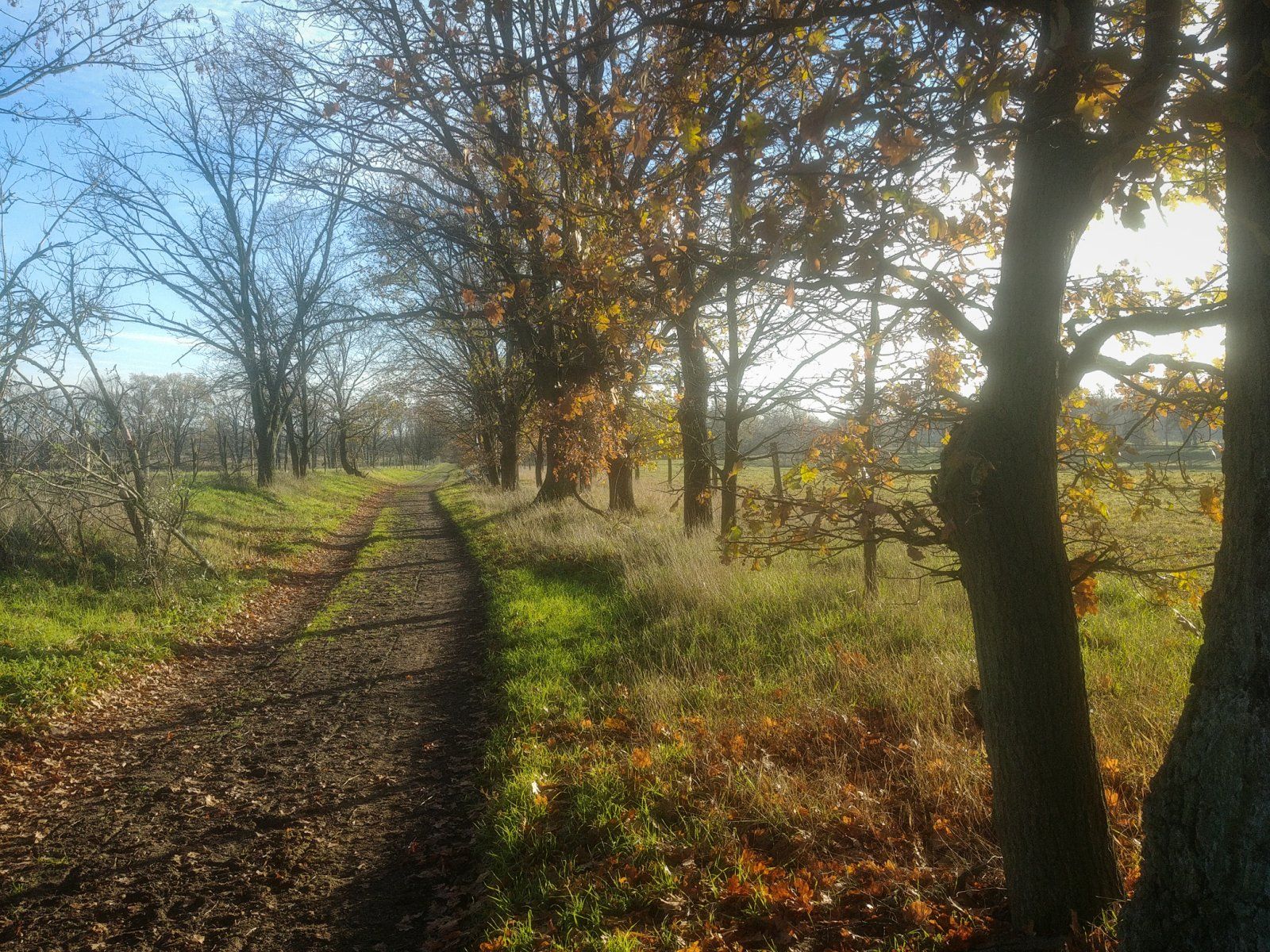 20221127_140130.jpg