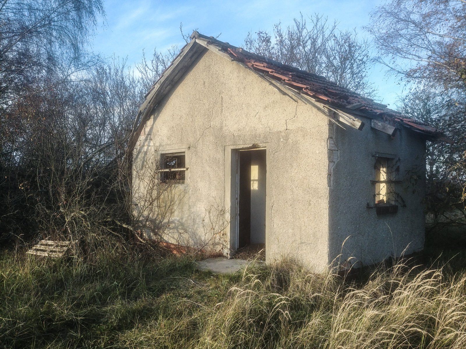 20221127_145727.jpg