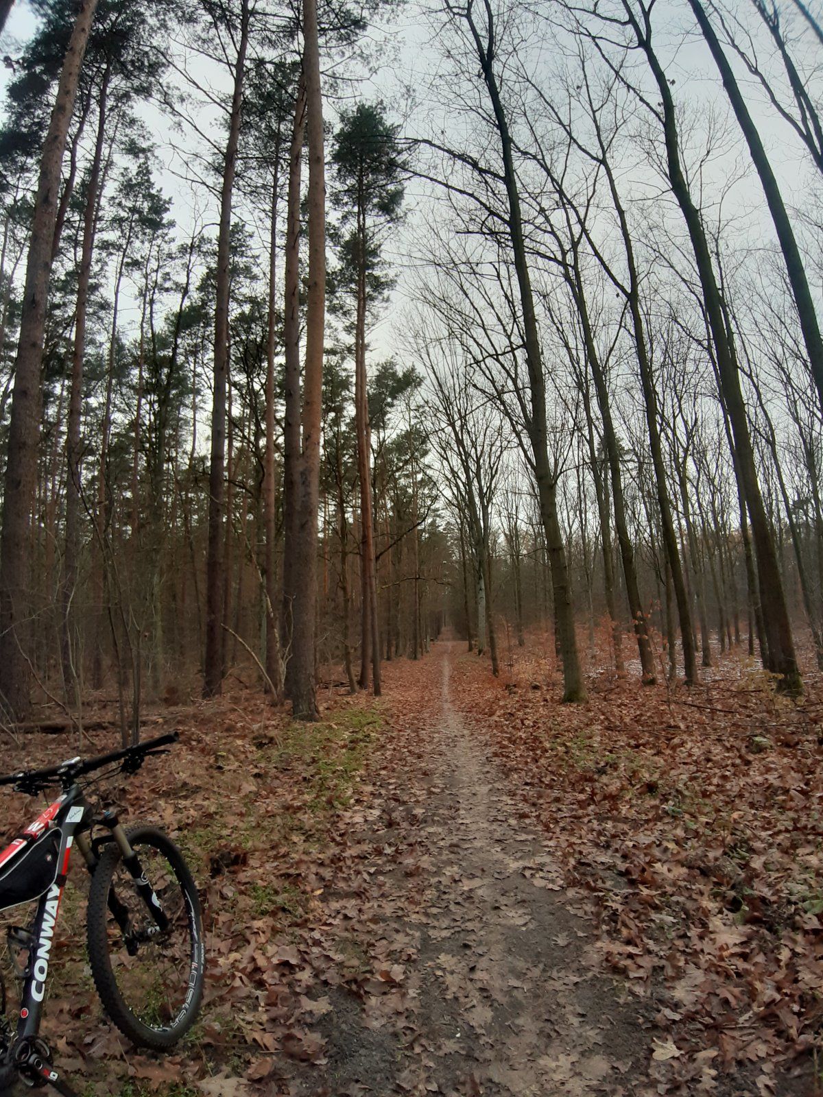 20221210_091121.jpg