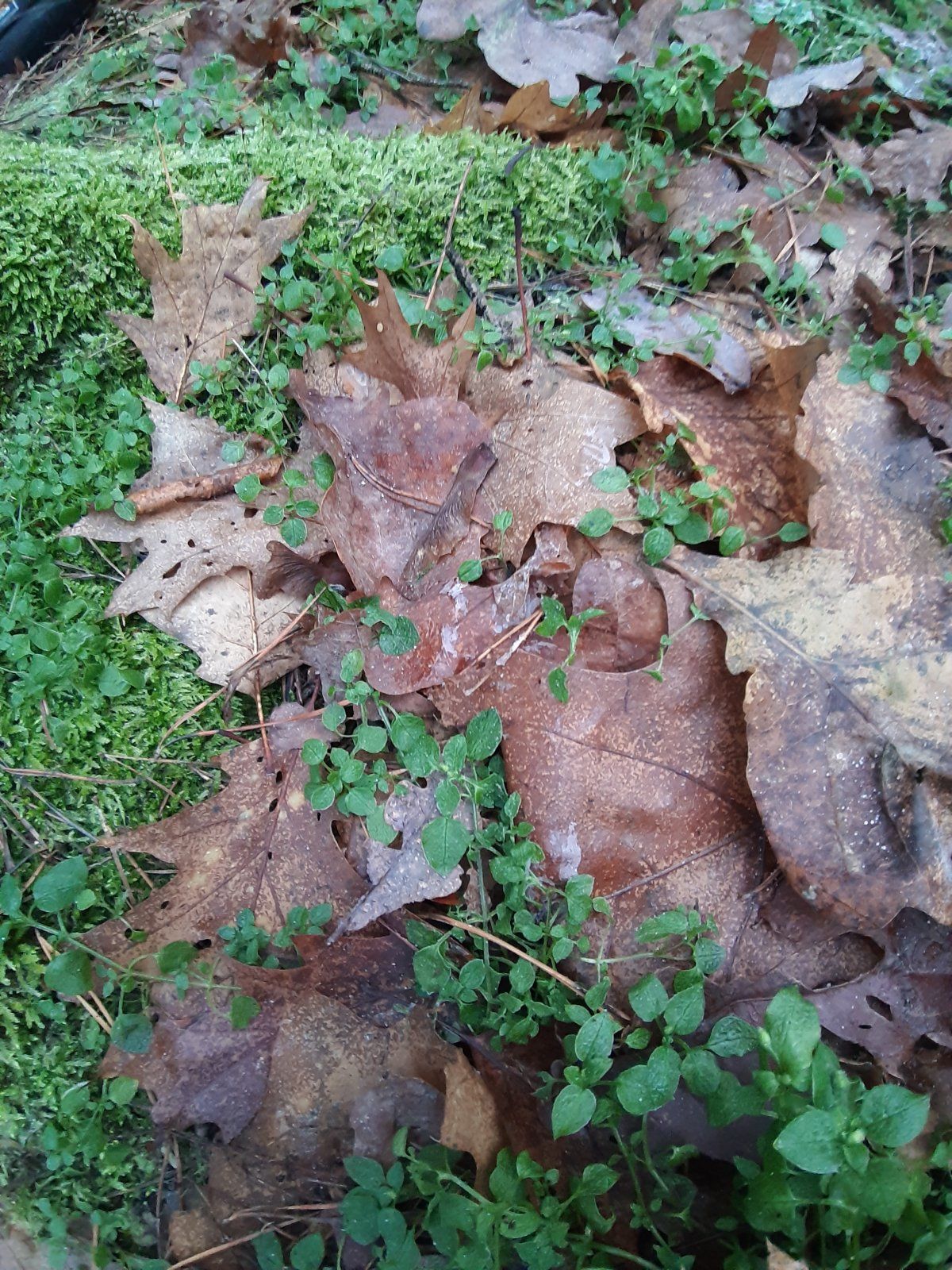 20221210_091157.jpg