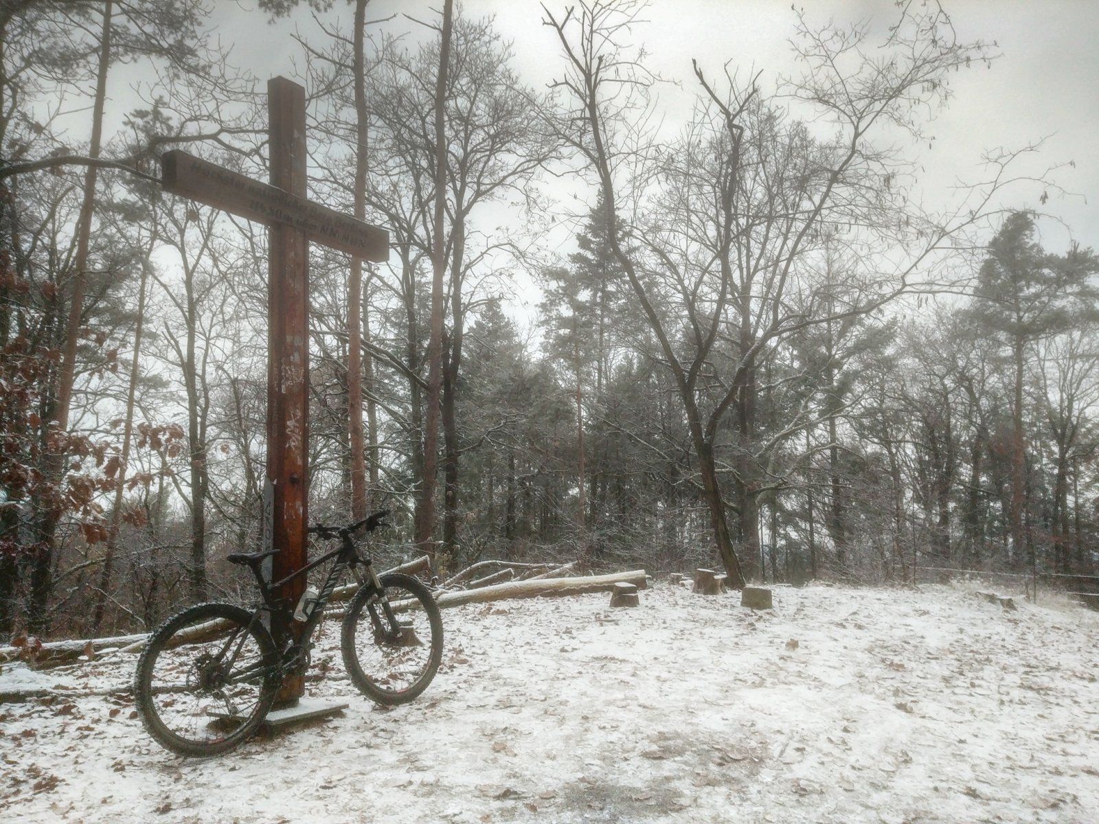 20221210_145019.jpg