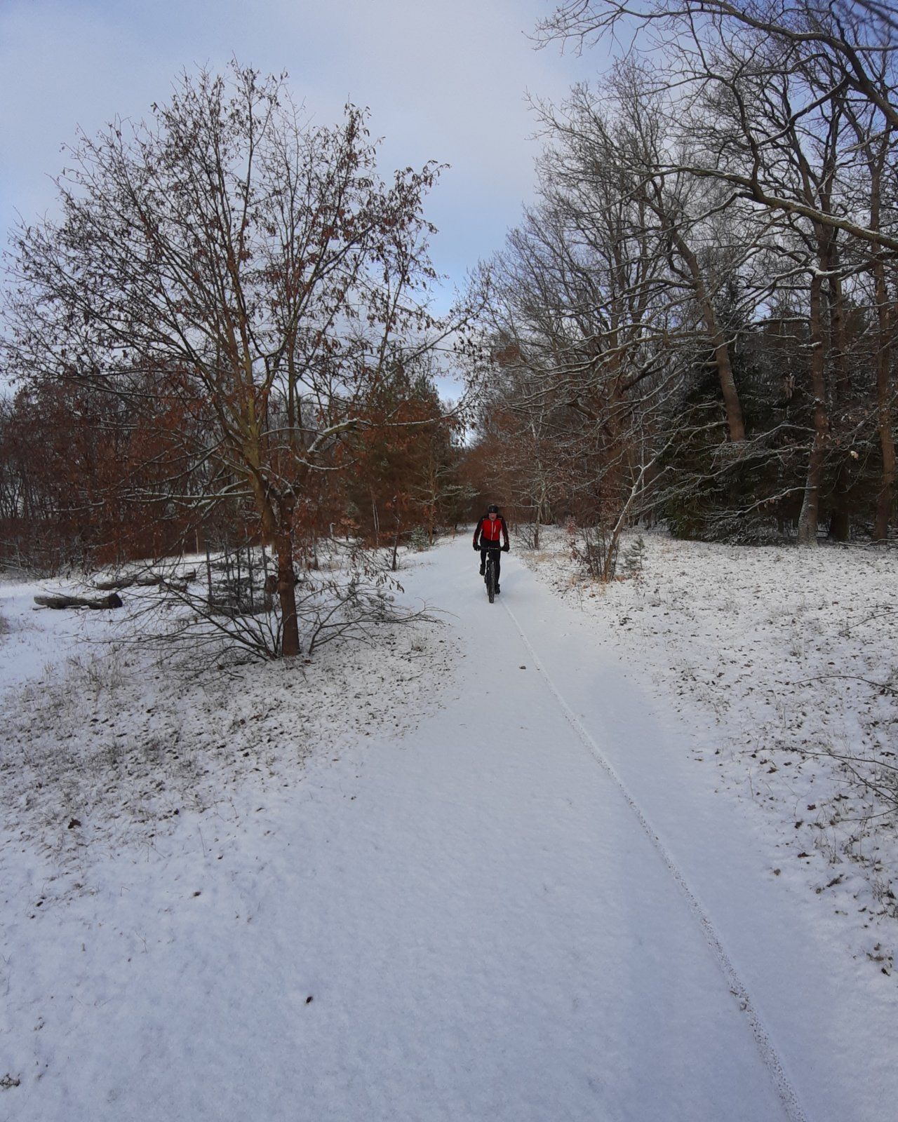 20221212_170908.jpg