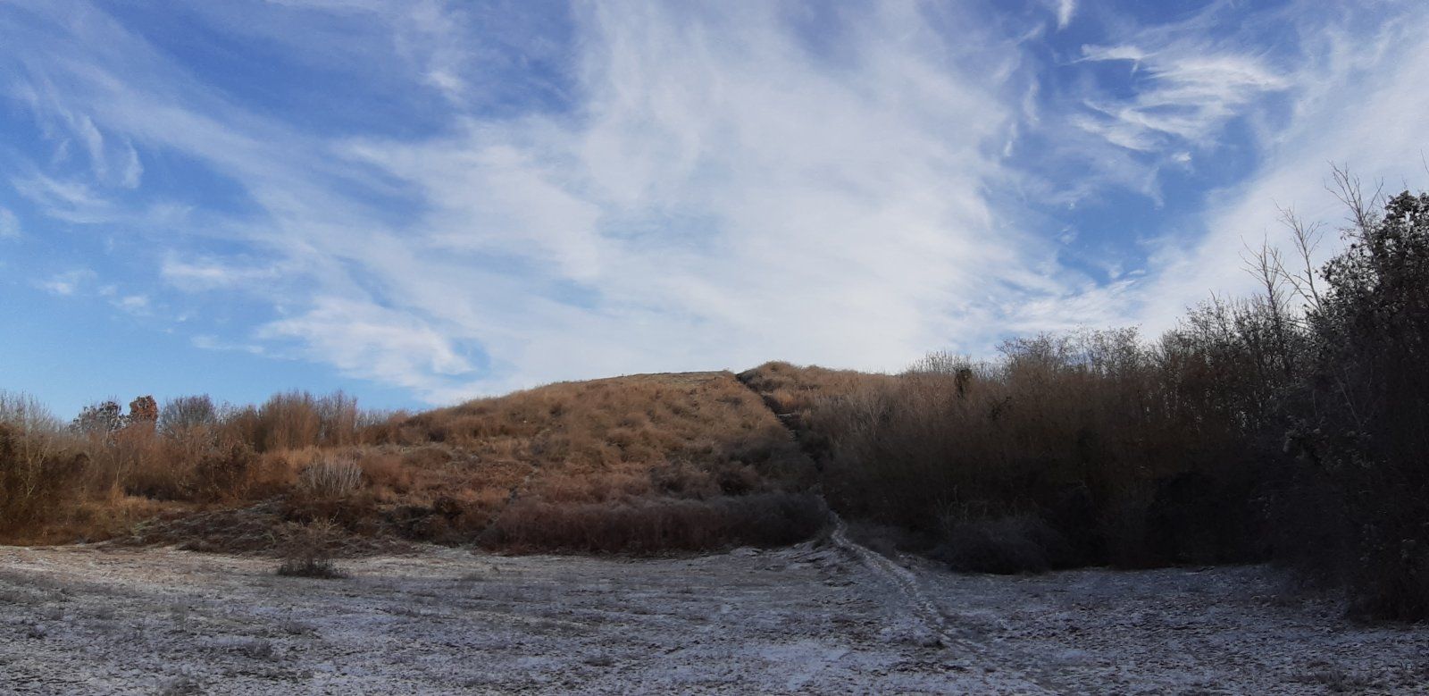 20221214_122320.jpg