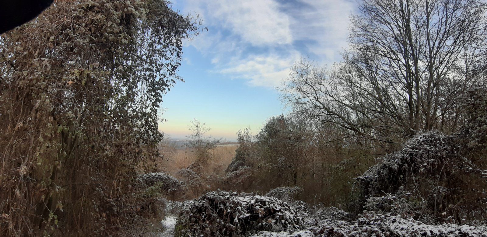 20221214_124751.jpg