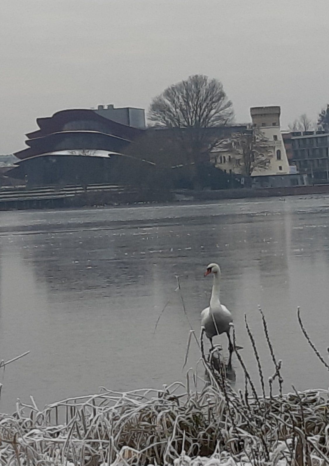 20221216_155638.jpg