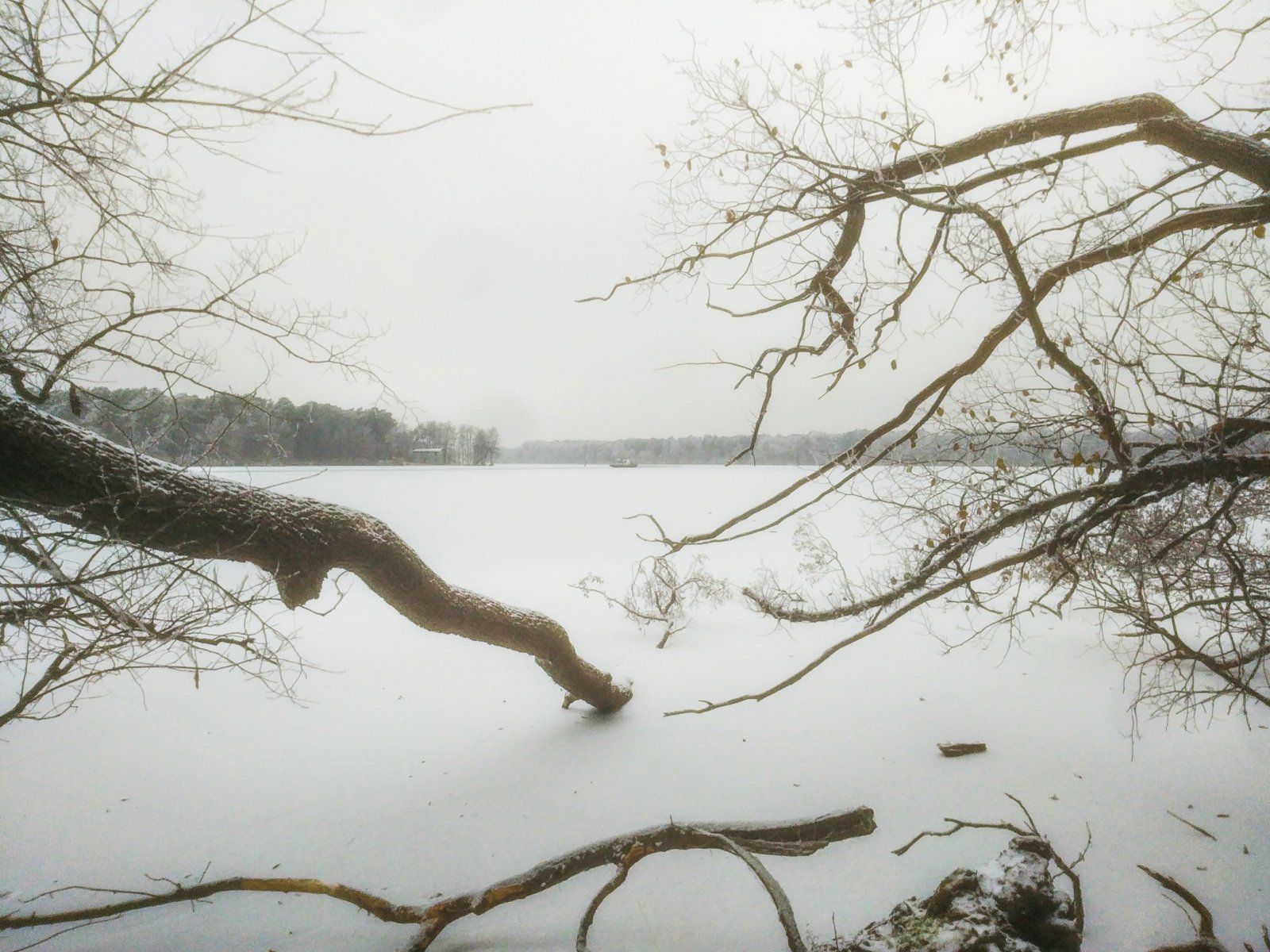 20221218_131415.jpg