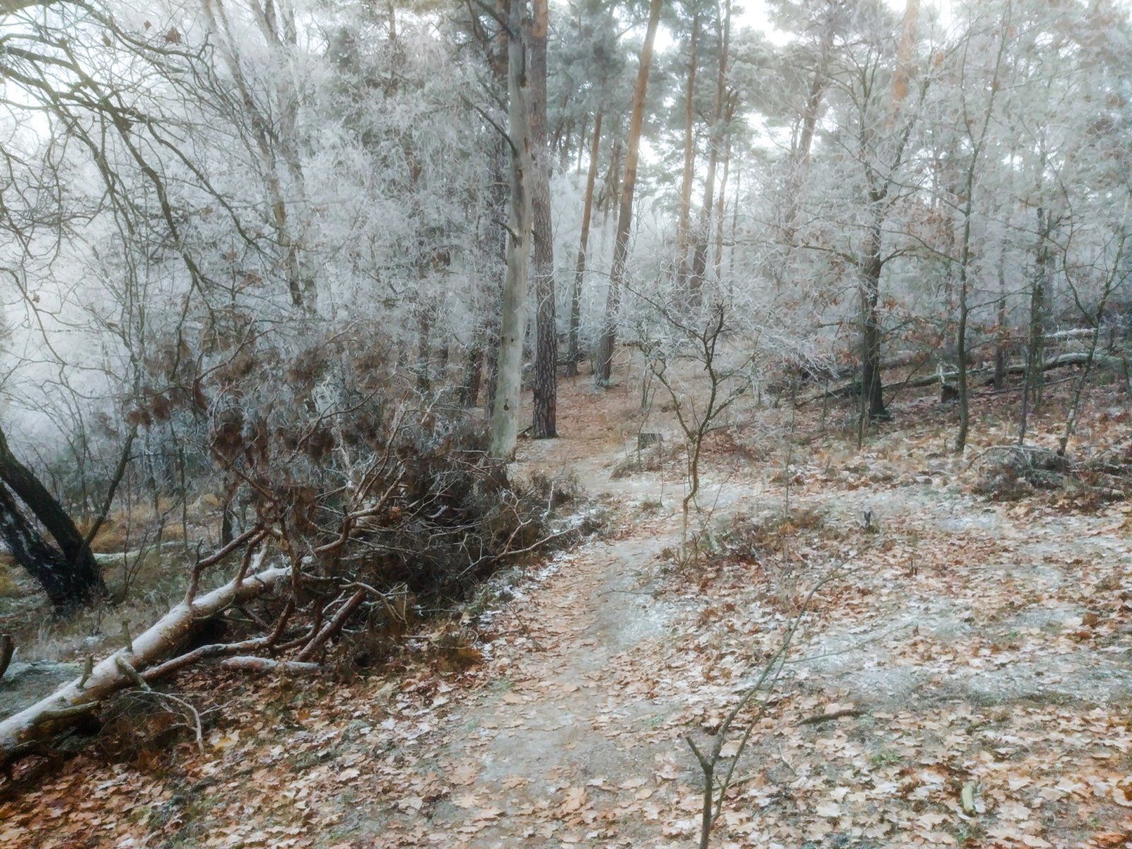 20221218_141336.jpg