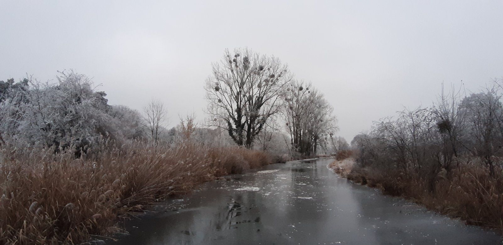 20221218_151916.jpg