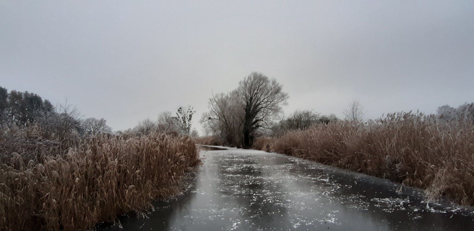 20221218_151925.jpg