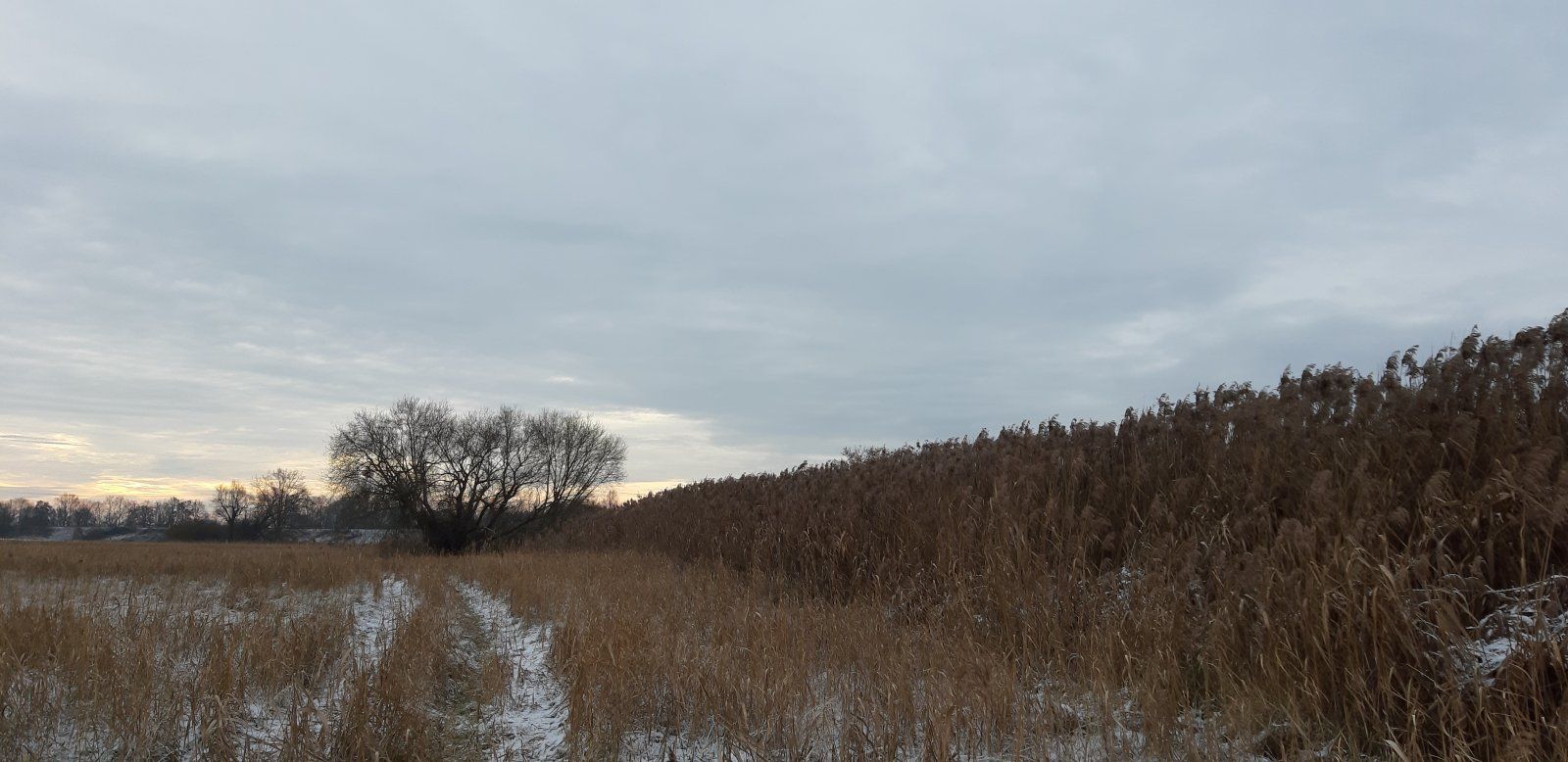 20221219_093005.jpg
