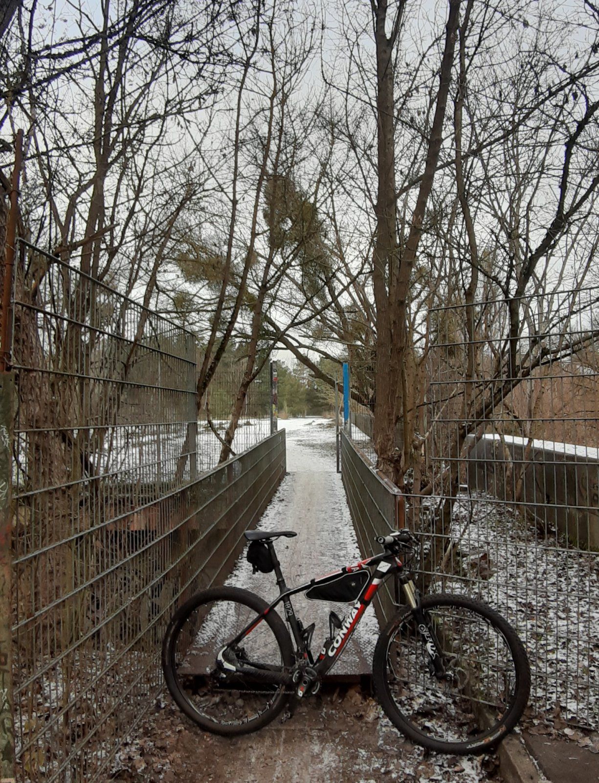 20221219_125417.jpg
