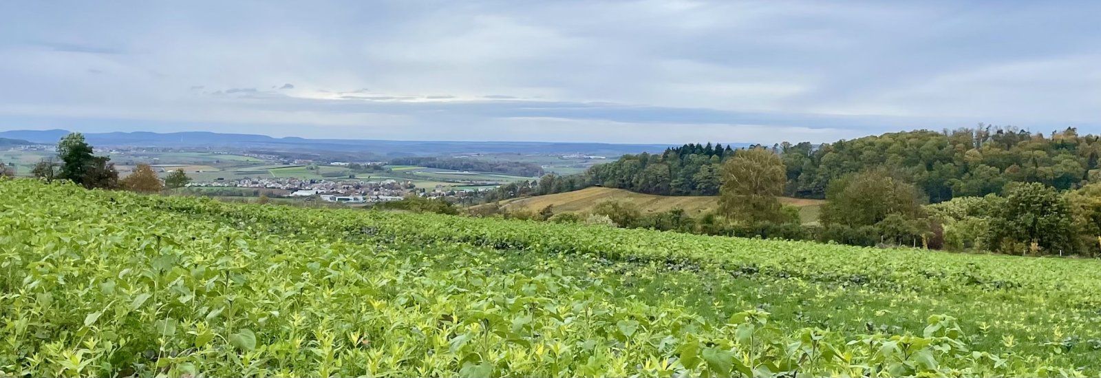 2023-11-04 Bild7.jpg