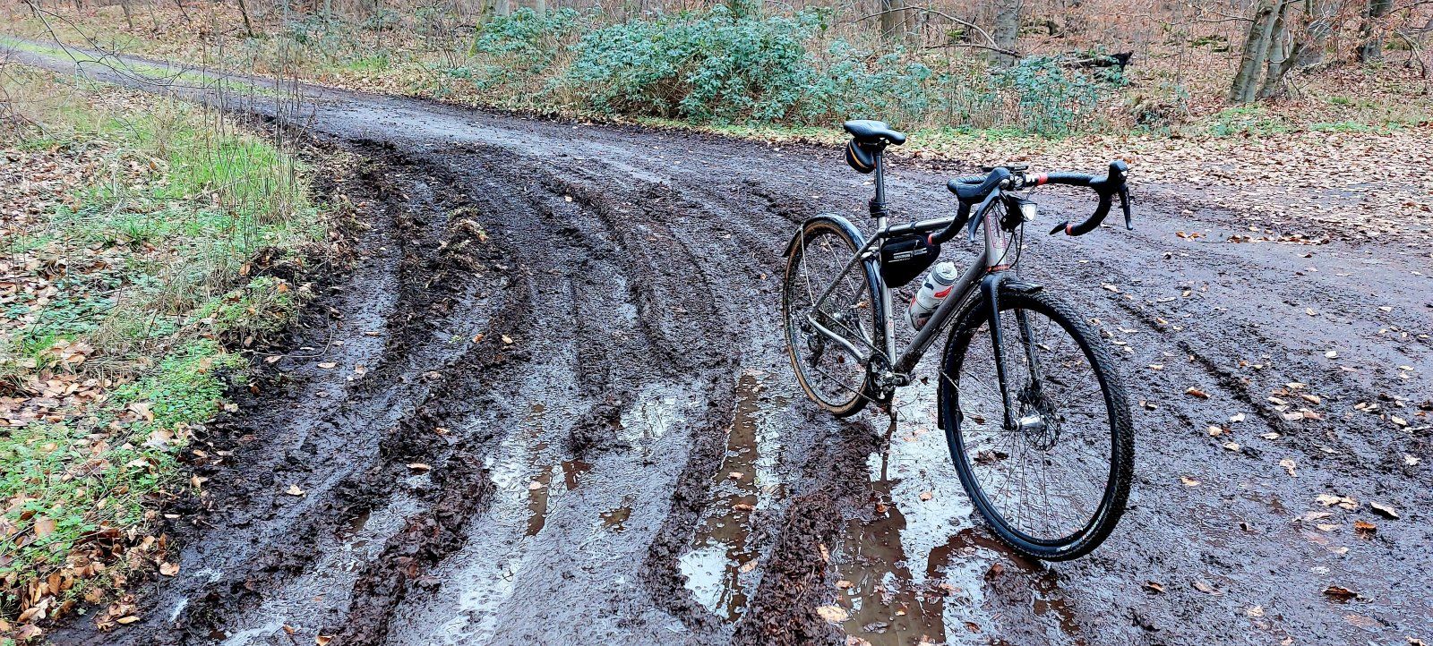 20230112_123240.jpg