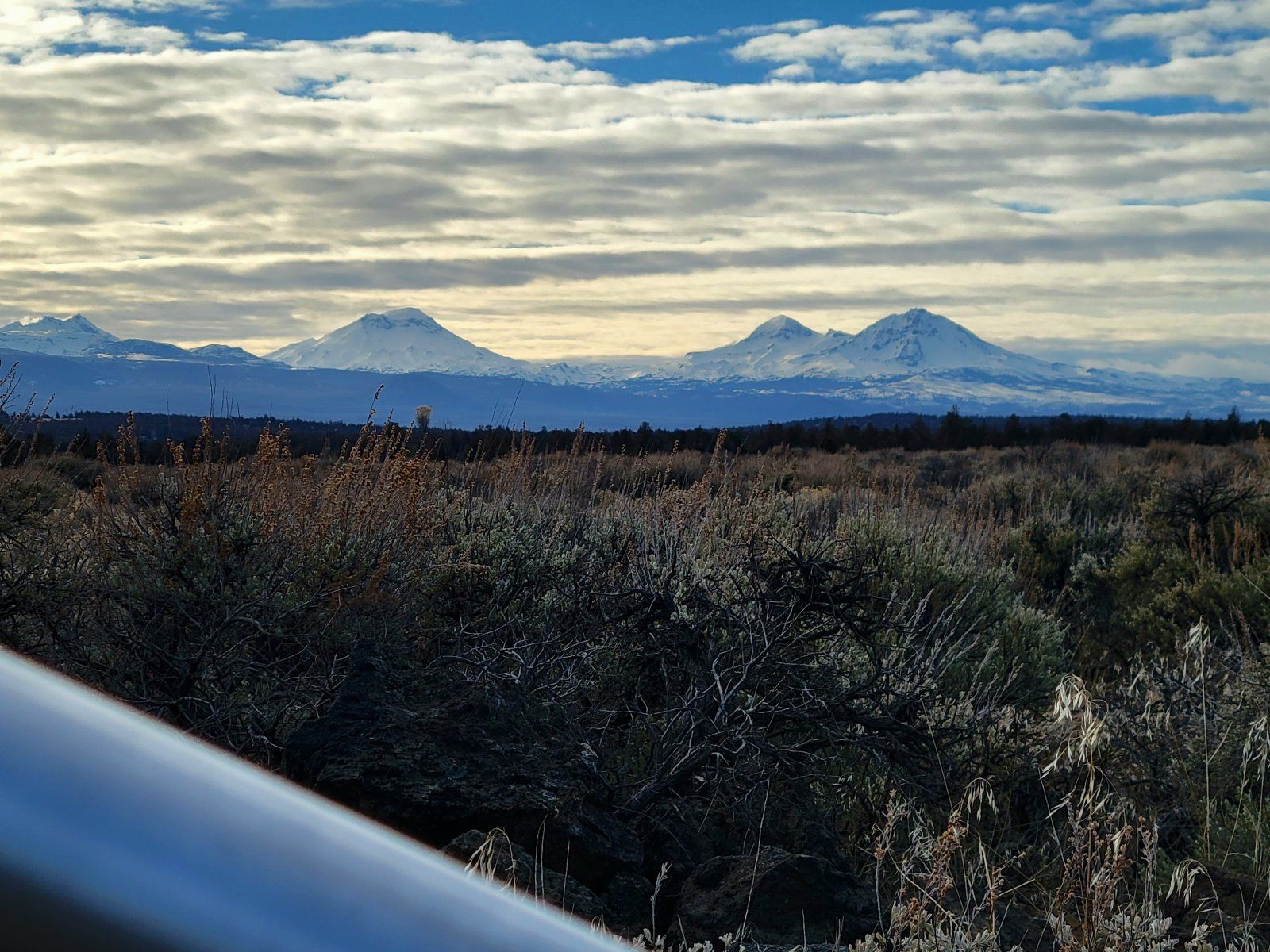 20230122_150623.jpg