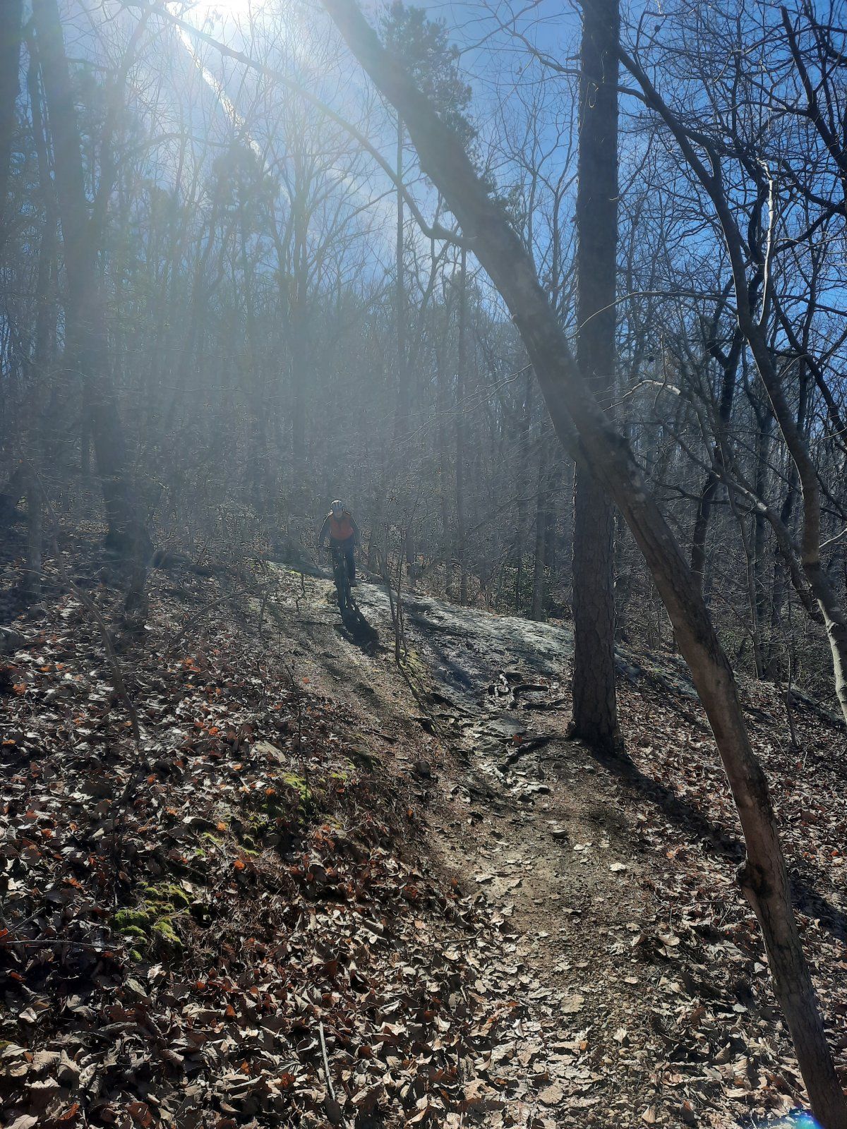 20230128_124729[1].jpg