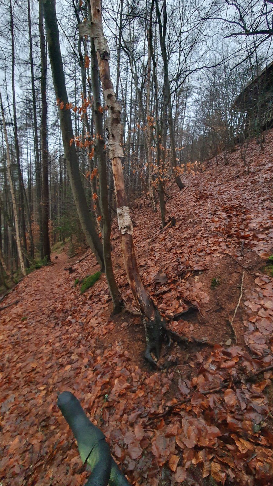 20230203_170837.jpg