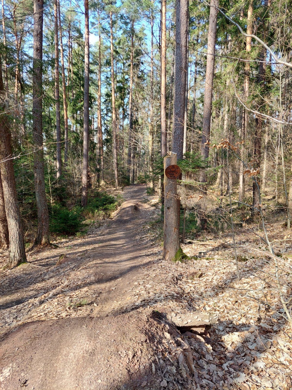 20230406_163249.jpg