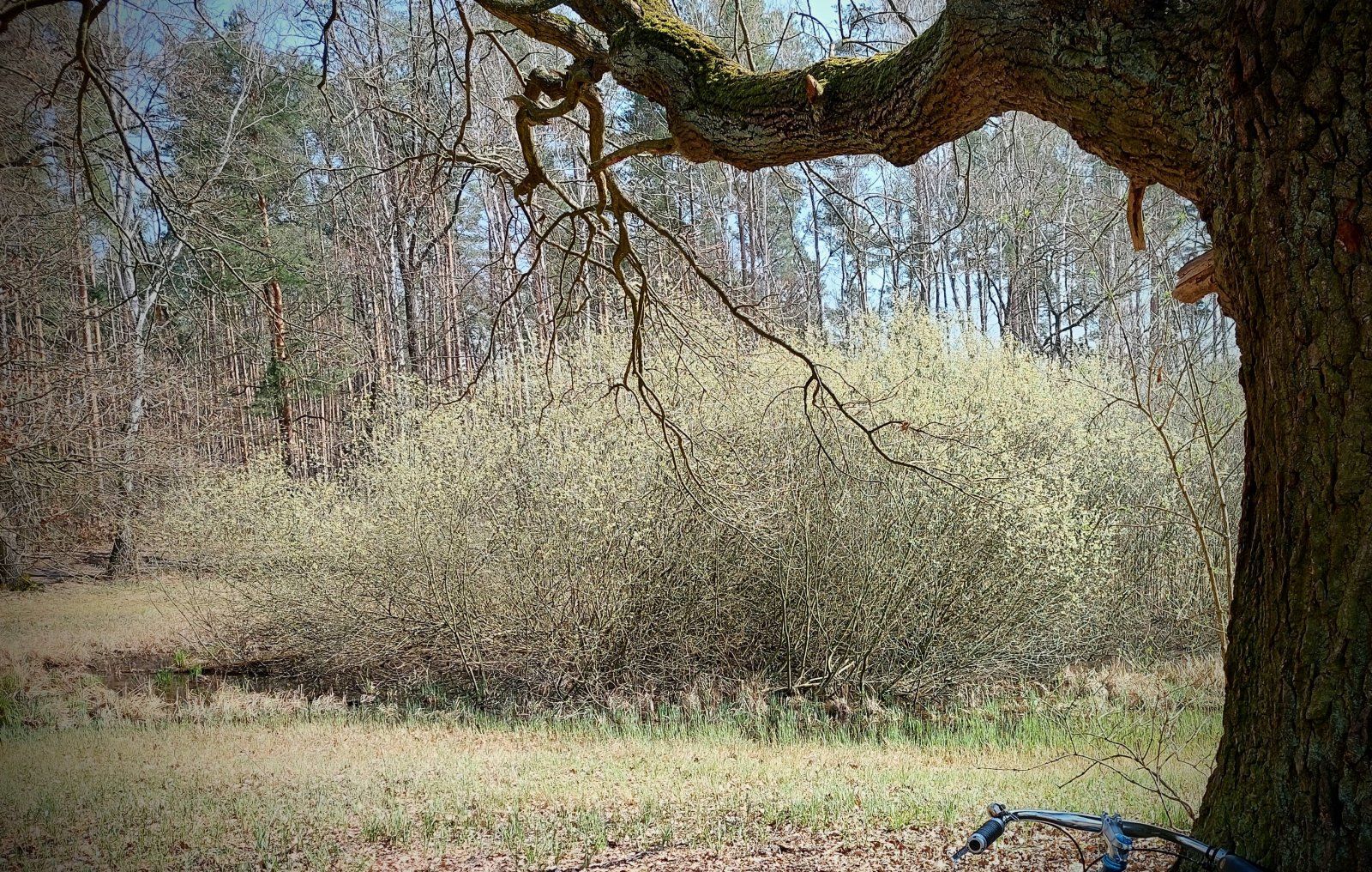 20230409_134333~2.jpg