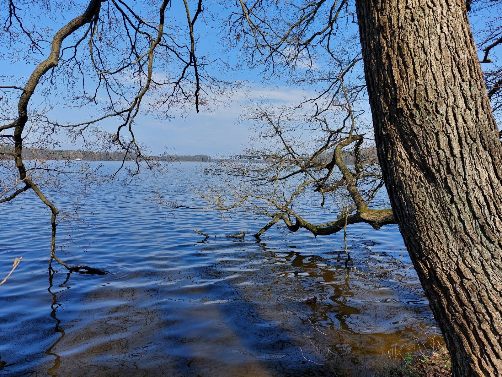 20230409_142959.jpg