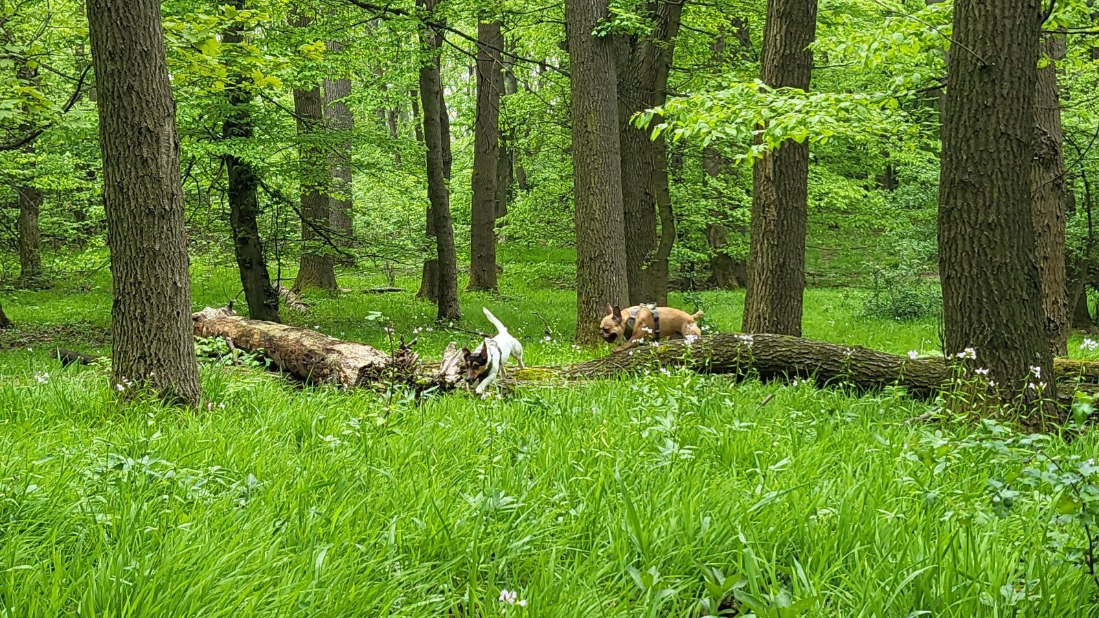 20230507_092700.jpg