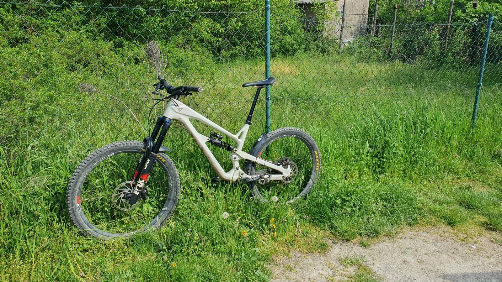 20230507_160355.jpg