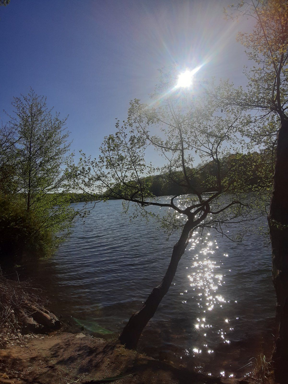 20230508_084733.jpg