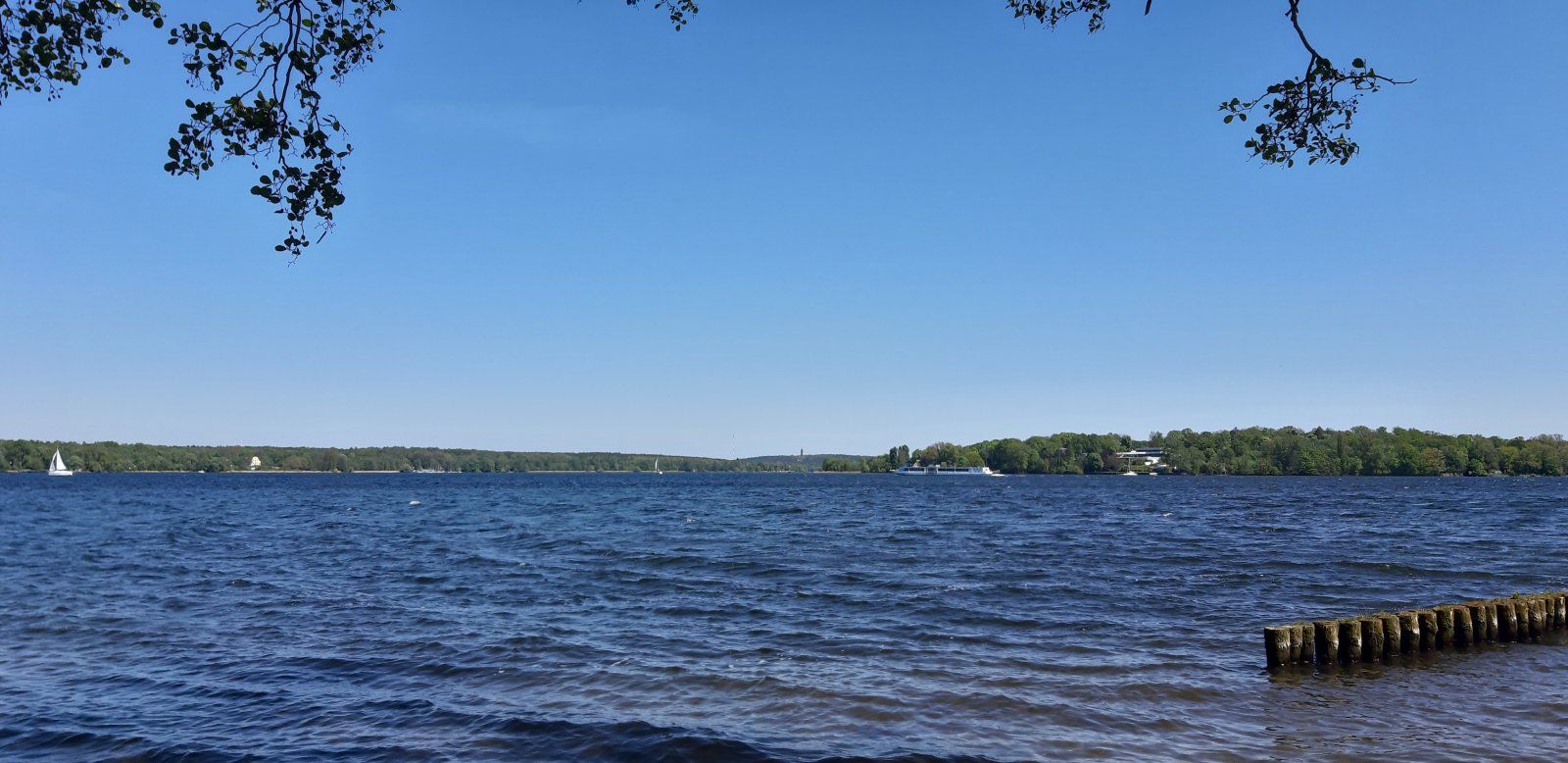 20230508_121146.jpg