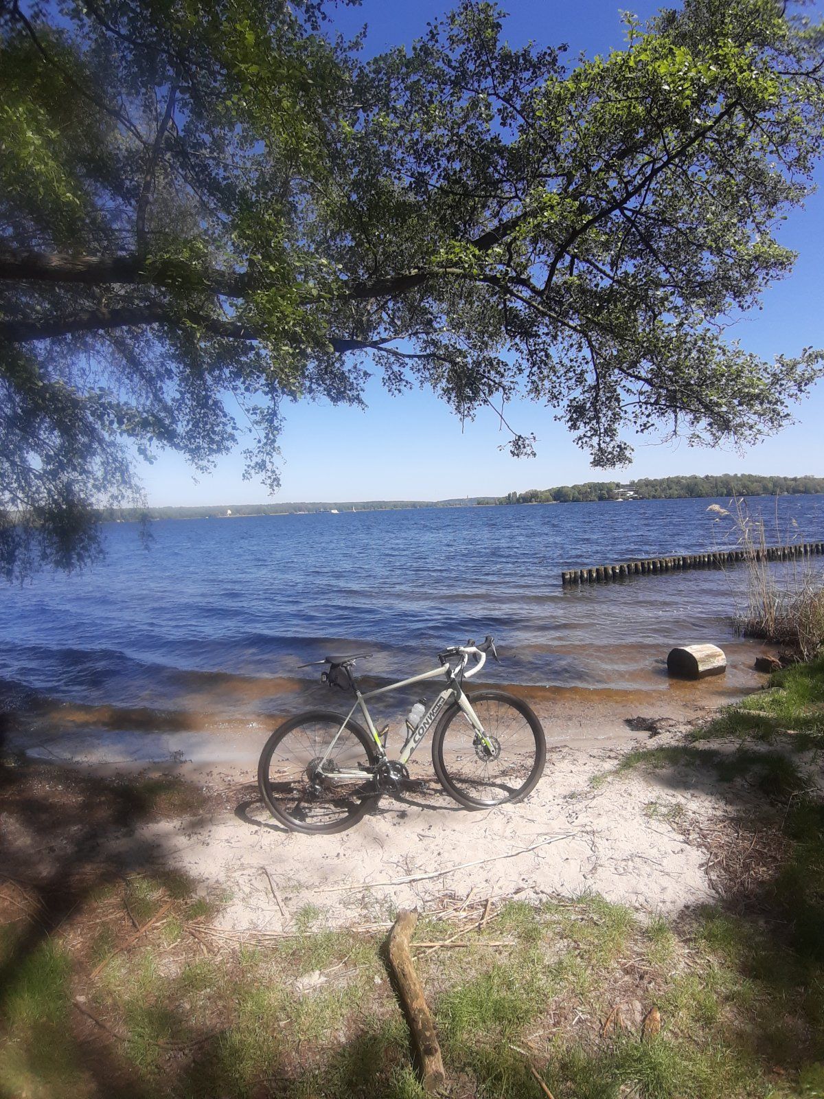 20230508_121252.jpg